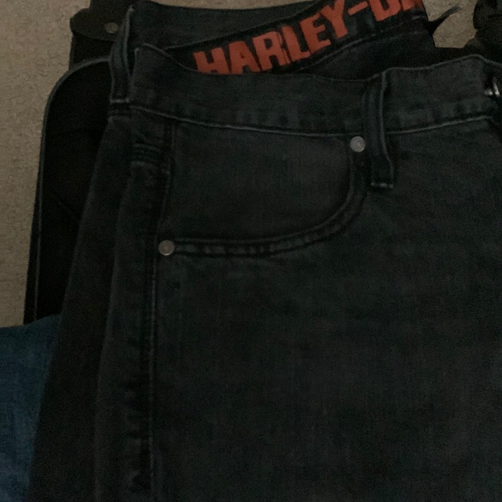 Harley Davidson pants
